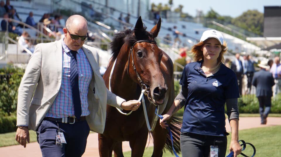 lukewilkinson13's tweet photo. Not a bad filly for $70k #oceanex #goodpage @KarakaChat @MickPriceRacing https://t.co/L7vJGihy5n