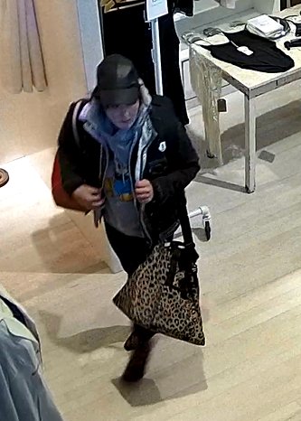 NYPD13Pct's tweet photo. The 13th Precinct Detective Squad needs your assistance in identifying the following individual wanted for a larceny from #ABCCARPET on 1/14 any information please contact the 13th Pct Detective Squad or @NYPDTips #800577TIPS #Manhattan https://t.co/r7ErorGNWe