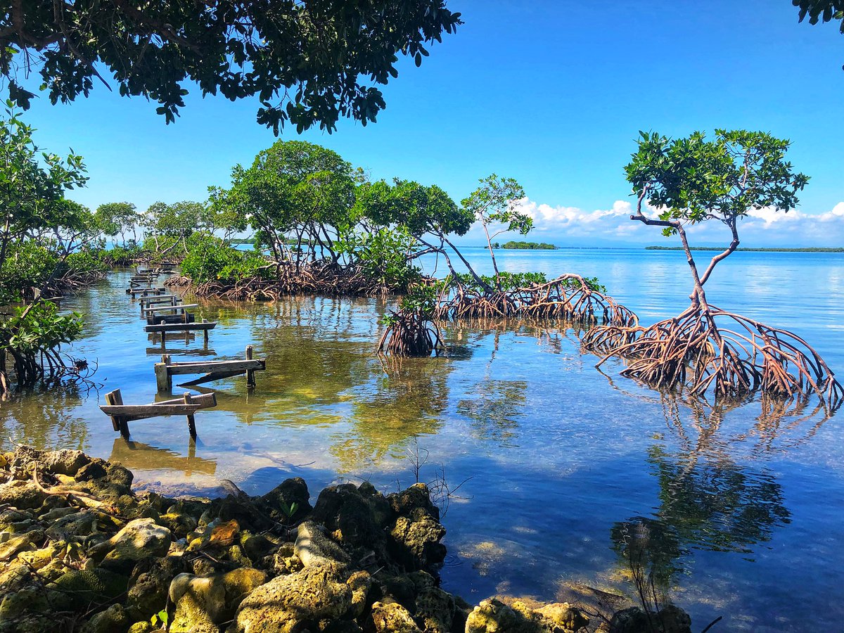 coriblekken's tweet photo. blue skies in #belize, my country #64 #travel #TravelTheWorld #countrycount https://t.co/3trYsj9hQ2
