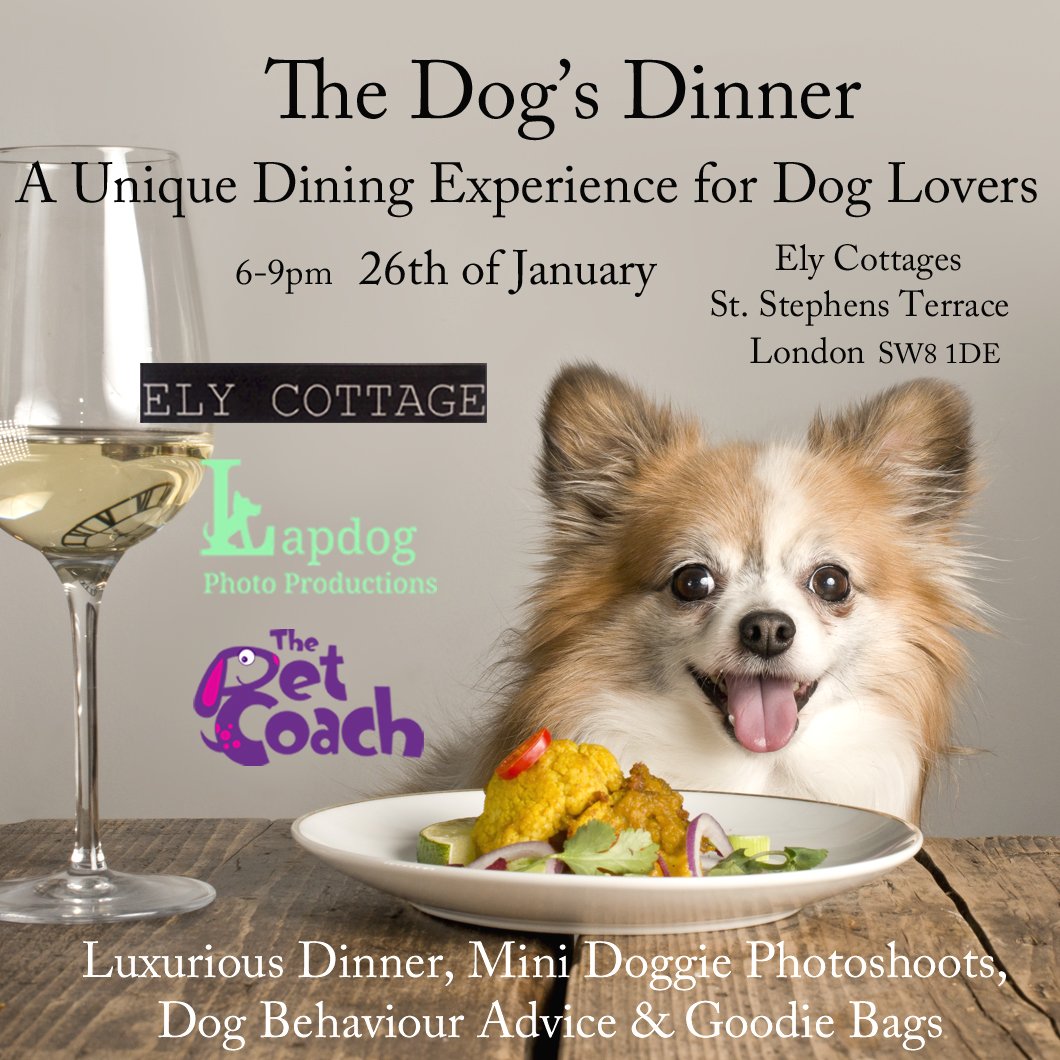 It's Pawty Time! 🐶🍾 Join us for "The Dog's Dinner" &amp; help us raise funds for <a href="/streetvetuk/">StreetVet</a> and Plush Bears Shelter charities. For more info and to book your space please visit our event page. facebook.com/events/2213563… #DogsofTwittter #London #dogfriendly #photography #DinnerParty