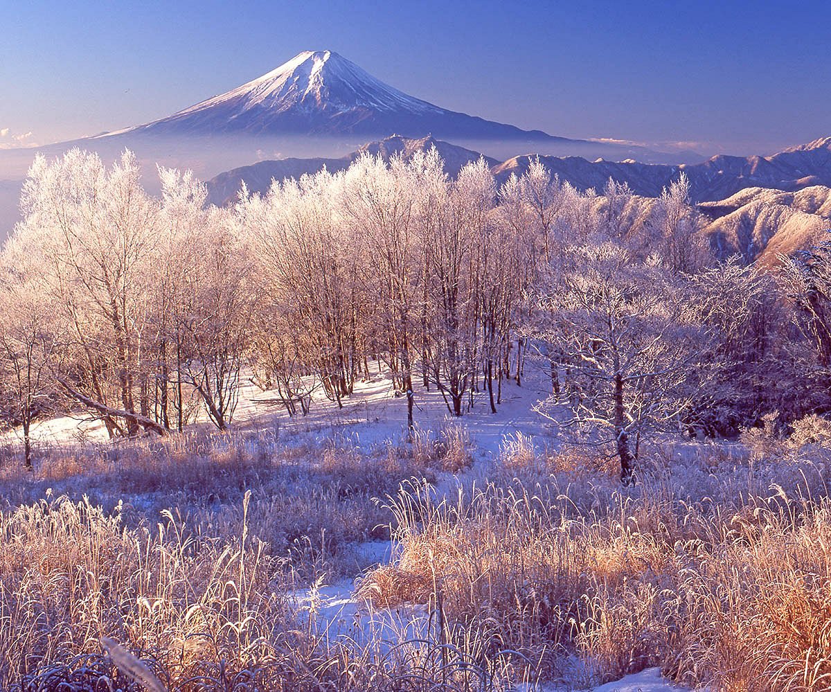 Hitoshi Naitou 冬の華 雁ヶ腹摺山で以前撮影の１枚です 富士山 Mtfuji 雪景色 T Co Cuopcjsyte Twitter