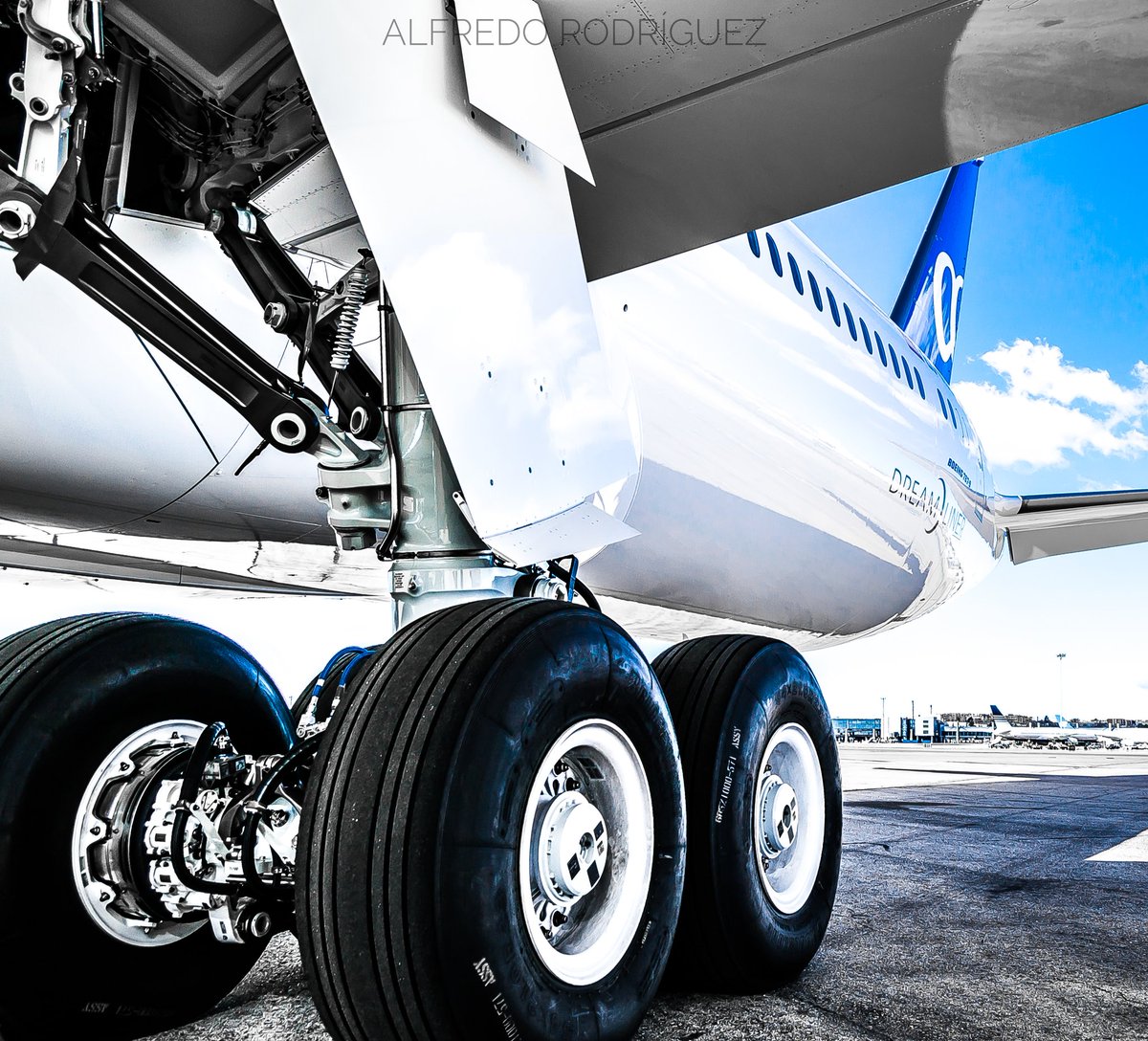 Aviophoto's tweet photo. El tren de aterrizaje del 787-9 puede soportar hasta 250 toneladas #TheMoreYouKnow
@AirEuropa
.
https://t.co/vkttk5dLJq
#AirEuropa #EfectoDreamliner #Welcome9 #Boeing #B787 #ECMSZ https://t.co/9JWOLm2I2I