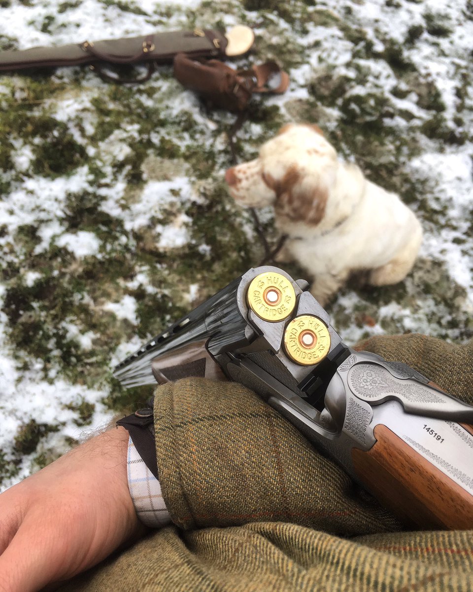chrhartley's tweet photo. An amazing day only a little spoilt by my poor accuracy and my spaniels randiness.... #caesarguerini #workingdog #spaniel #clumberspaniel #pegdog #hullcartridge https://t.co/jneVkdNX21