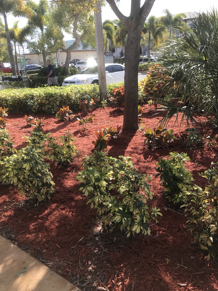 ChloeField01's tweet photo. Today #Compete2Give teamed up with @Habitat_org  to revitalize the #WayneBartonStudyCenter. A morning filled with painting, landscaping, and fun! https://t.co/ljCRrbrtgc