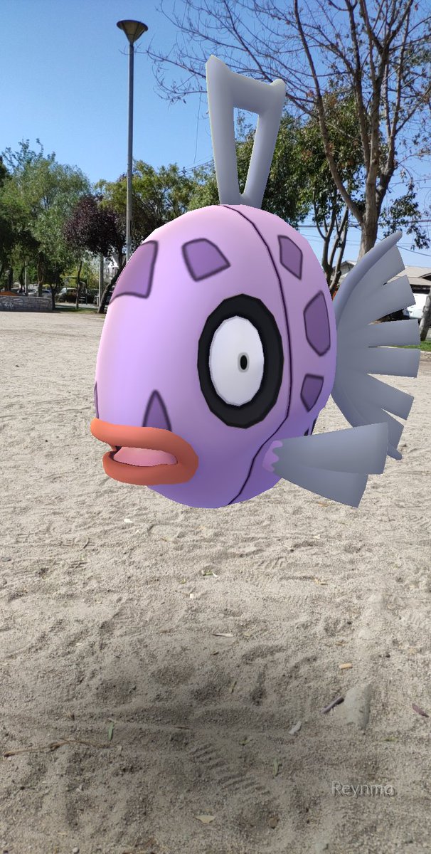 Reynaldo_M's tweet photo. Feliz con mi #Feebas shiny y un bebé #azurill shiny
.
.
#FeebasDay #FeebasResearch https://t.co/yEefcrtx5n