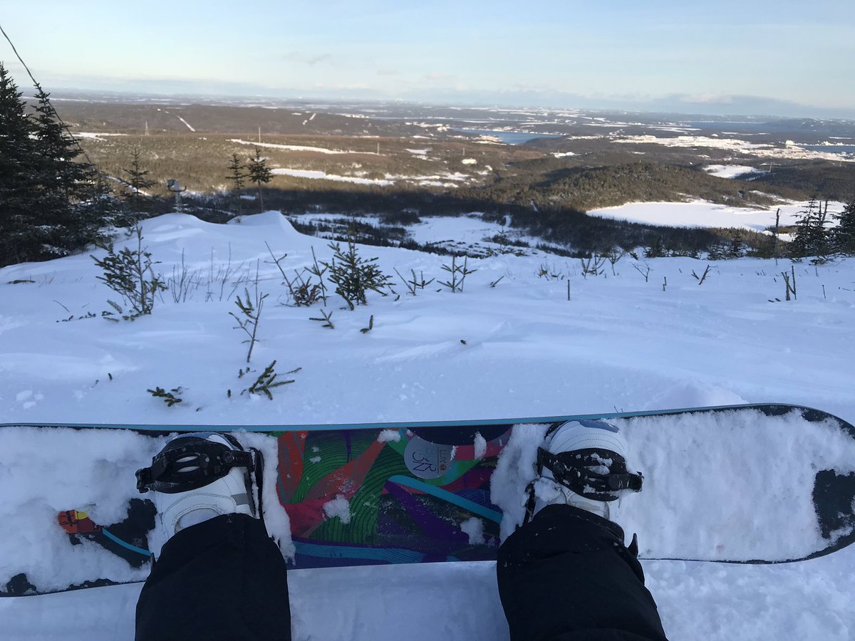 Melissa Royle (@melissaroyle) | Twitter