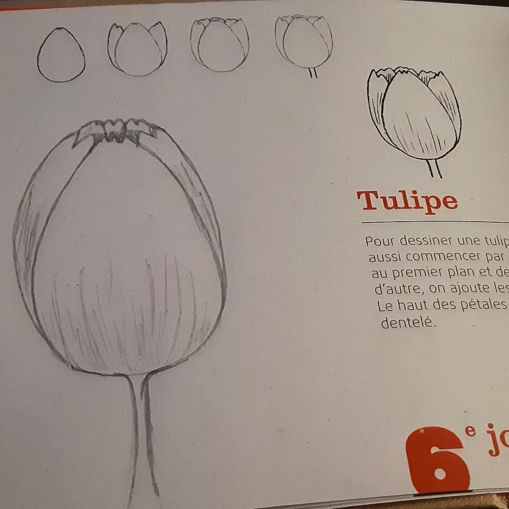 ArtzSchw's tweet photo. Ce jour #exercises #books #art #artnerd #artsy #sketch #drawing #arts_help #artfido #artshare #worldofartists #art_spotlight #artsanity #supportart #arts_gallery #pencildrawing #sketchbook #fineart #originalart #artvisual #art_worldly #disegno #artfeauture https://t.co/SdxTofeAbD