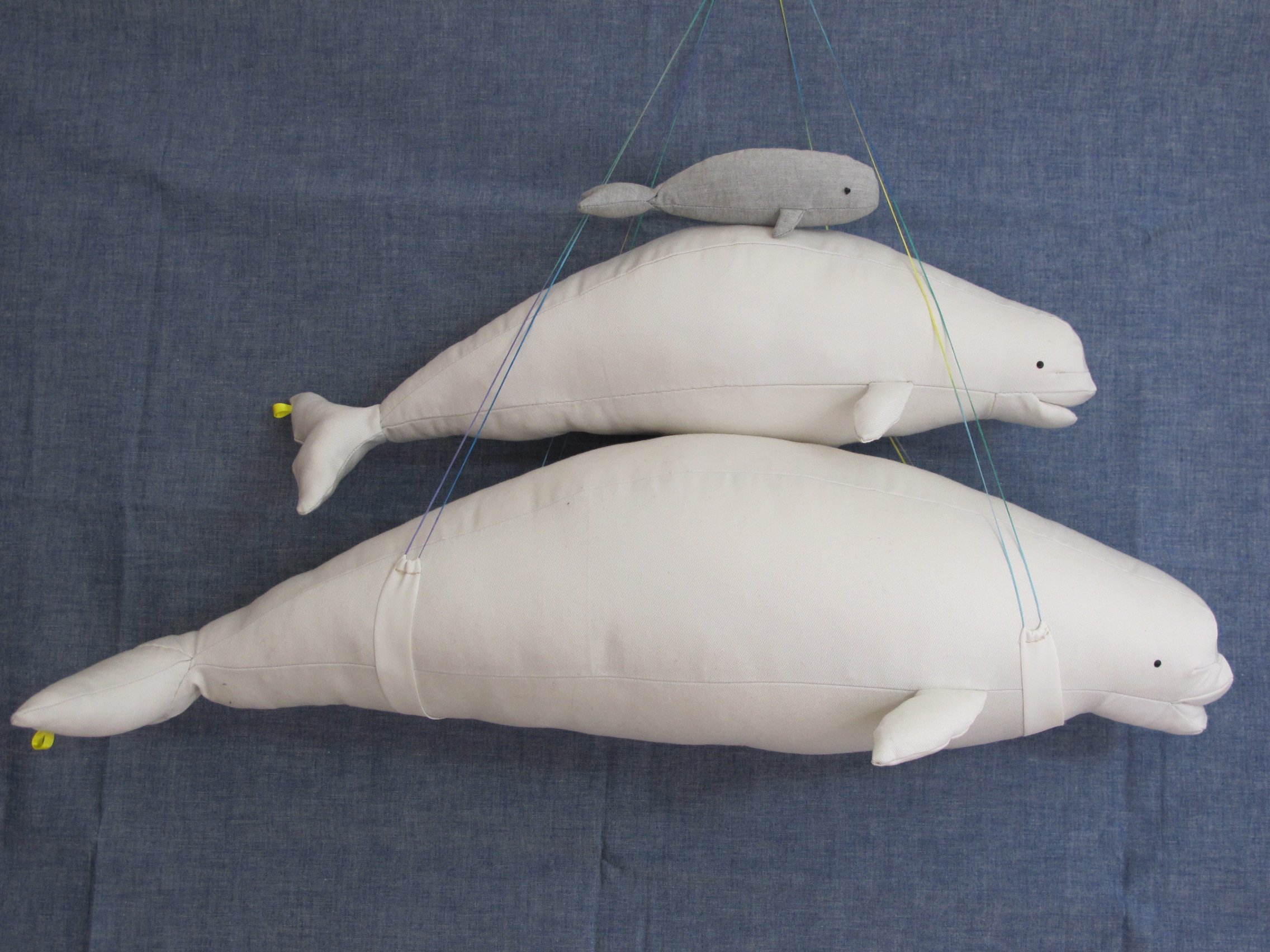 Nuwasu Hello19hs ベルーガいまーす スナメリは未作成です T Co 7iproqlteu Twitter