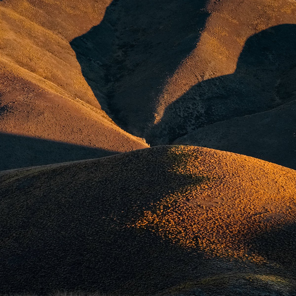 gilli_was_here's tweet photo. More crazy landscape shadows.. https://t.co/uuX2Lu0nJO