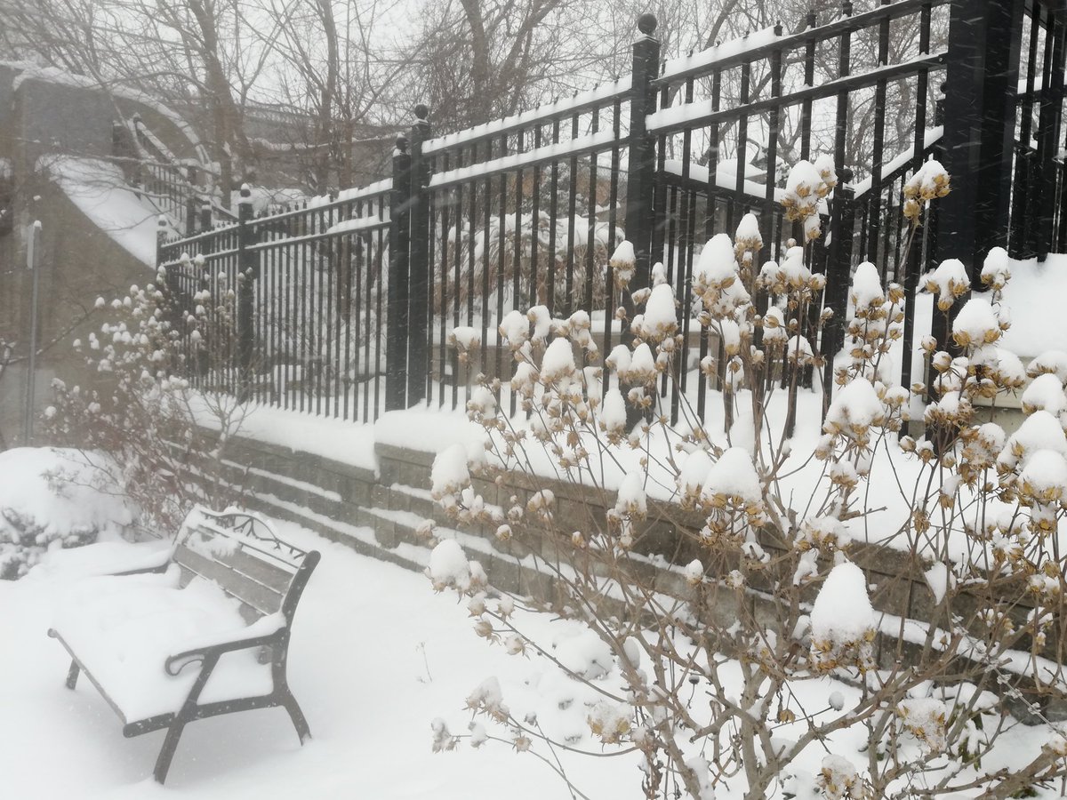 WatchtheQuach's tweet photo. With up to 45cm of snow in #HamOnt, it can get a little stressful for everyone! Take your time, be safe and admire the beauty in this winter wonderland βοΈβοΈπ¨οΈ #HamOntSnow #HamOntStorm @CBCHamilton #WinterIsHere https://t.co/w20jRkXxcV