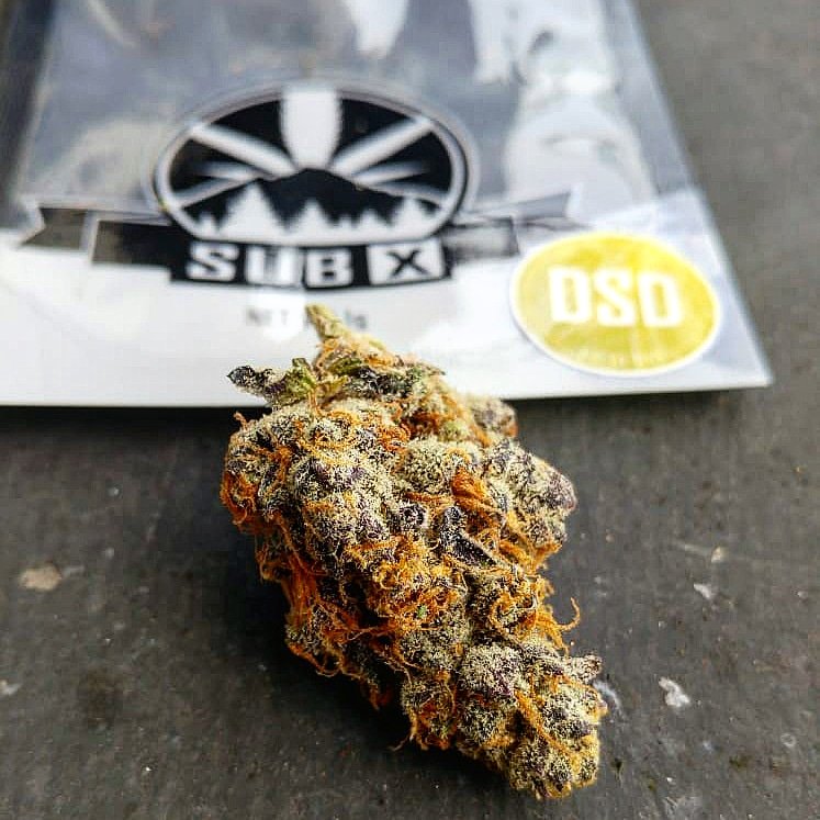 Oh that #dosidos from <a href="/SubExcitement/">Subdued Excitement</a> is truly a thing of beauty! This #indica dominant #hybrid holds it's unique smell, taste and high from it's parents #gsc (fka #girlscoutcookies) and #faceoffog! Get it today and enjoy 15% off @SatoriFremont! Head to satorifremont.com/menu