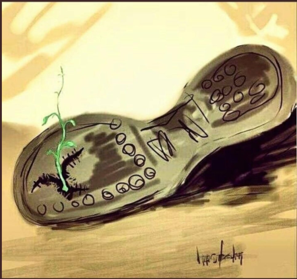 nes06's tweet photo. "Biz yaşadığı cehennemi cennete çevirmeye talip insanlardandık."
#HrantDink https://t.co/YohpLOeaY6