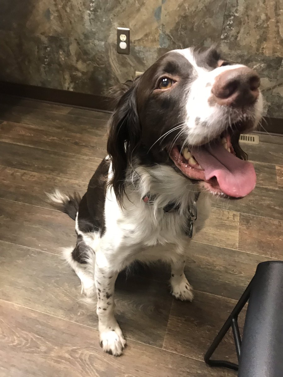 AkselRhodes's tweet photo. Happy with my new vet!! And #mama loves it too. https://t.co/5uGBGdVrjx