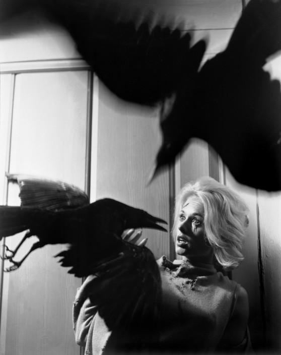 The Birds (1962) Happy Birthday to Tippi Hedren! Who remembers this movie? 