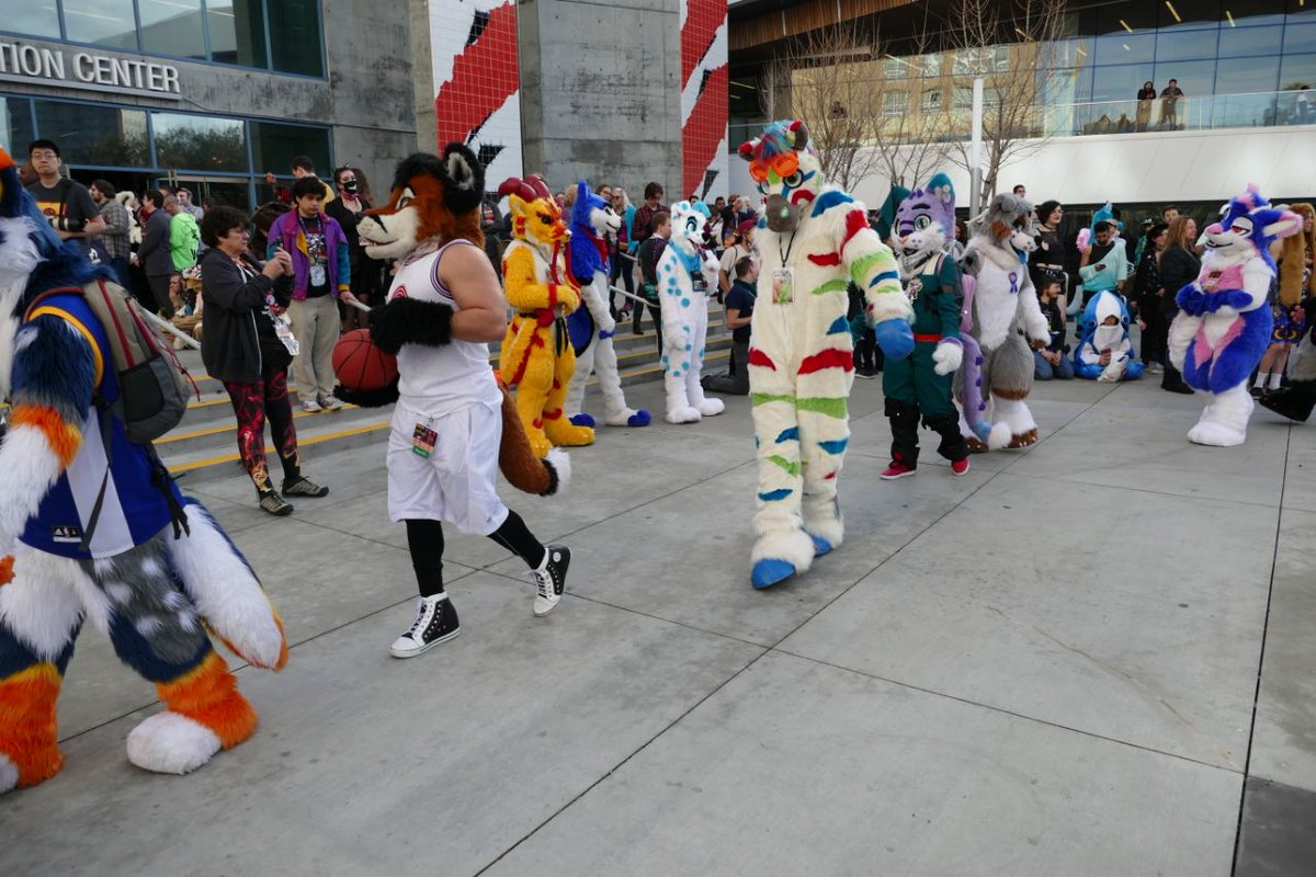 oneradzebra's tweet photo. Parade photos from muh pal Kyroraz! https://t.co/mgGbnjwOrH