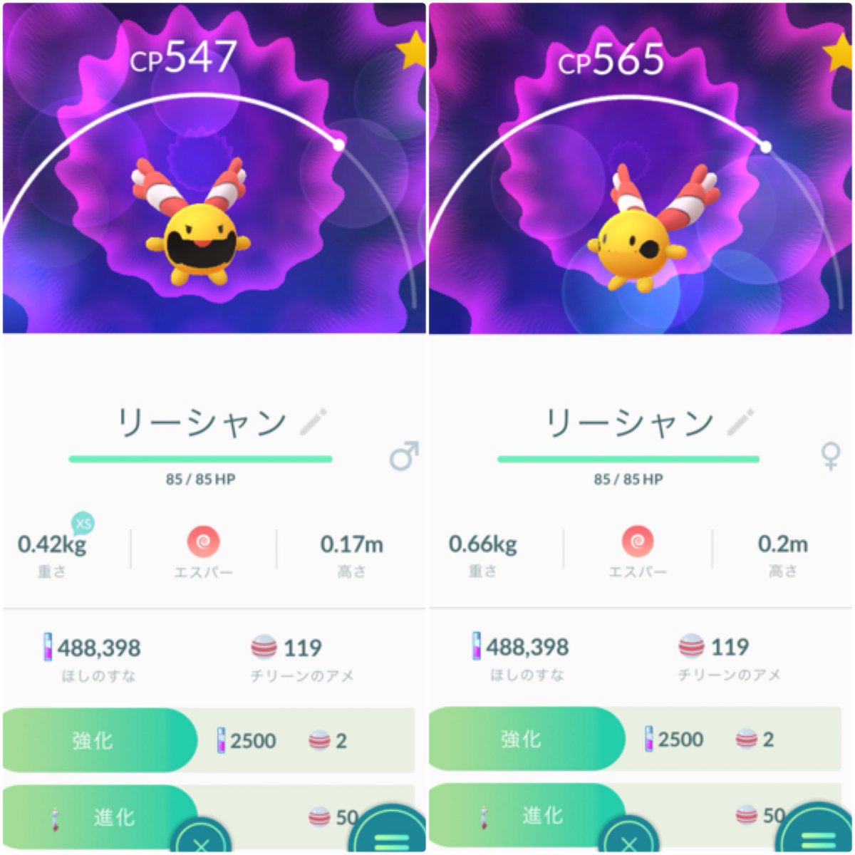 coco_pokemongo's tweet image. ヒンバスの前に、
ようやく来てくれました❣️❣️❣️
しかも♂♀一気に揃ったー🎶✨
#リーシャン
#Chingling