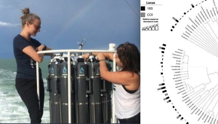 Collin Closek 🏳️🌈 (@cclosek) on Twitter photo New #eDNA paper with <a href="/NatSawaya/">Natalie Sawaya</a> <a href="/AnniDjurhuus/">Anni Djurhuus</a> @virome_girl on <a href="/FloridaKeysNMS/">NOAA Florida Keys NMS</a> #biodiversity published in <a href="/Ecol_Evol/">Ecology and Evolution</a> identified over 700 genera!! #ecosystembaseline #oceanoptimism <a href="/oceansolutions/">Stanford Center for Ocean Solutions</a> doi.org/10.1002/ece3.4… New #eDNA paper with <a href="/NatSawaya/">Natalie Sawaya</a> <a href="/AnniDjurhuus/">Anni Djurhuus</a> @virome_girl on <a href="/FloridaKeysNMS/">NOAA Florida Keys NMS</a> #biodiversity published in <a href="/Ecol_Evol/">Ecology and Evolution</a> identified over 700 genera!! #ecosystembaseline #oceanoptimism <a href="/oceansolutions/">Stanford Center for Ocean Solutions</a> doi.org/10.1002/ece3.4…
