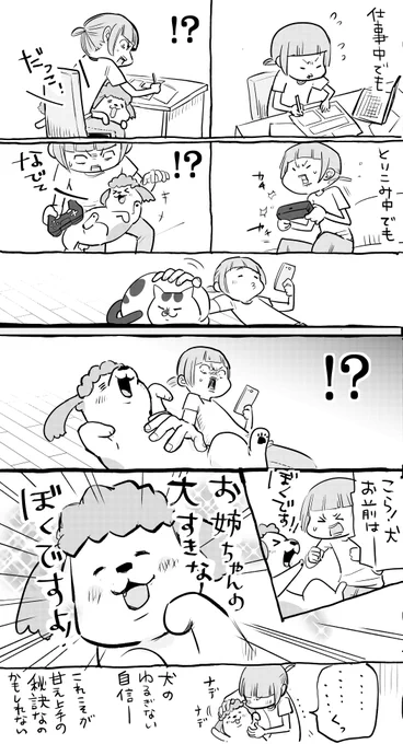 犬と猫どっちも飼ってると、家族サービスてんやわんやで毎日たのしい。 