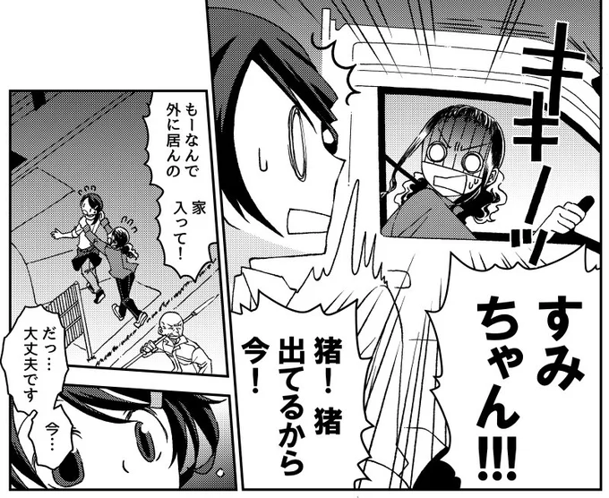 #ひとかみカフェ 3話のシーン。徳三じいさんが持ってるのは槍。イノシシ相手なら銃の方がよくない？と思われるかもですが、猟銃は猟目的以外では持ち歩いてはいけないのです。この時はすみさんちで夕食会をやった帰りに慌てて引き返してきたので… 