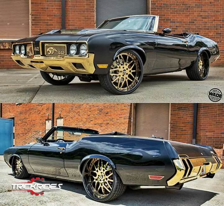 TrickRides's tweet photo. #trickrides #donkplanet #trickit #donklife #donkstyle #trickyourride https://t.co/FFAYEmeP0Z