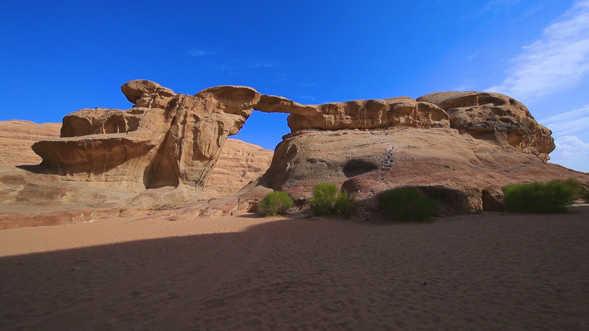 See Heritage Tbs S Tweet On Jan 19 Twitter