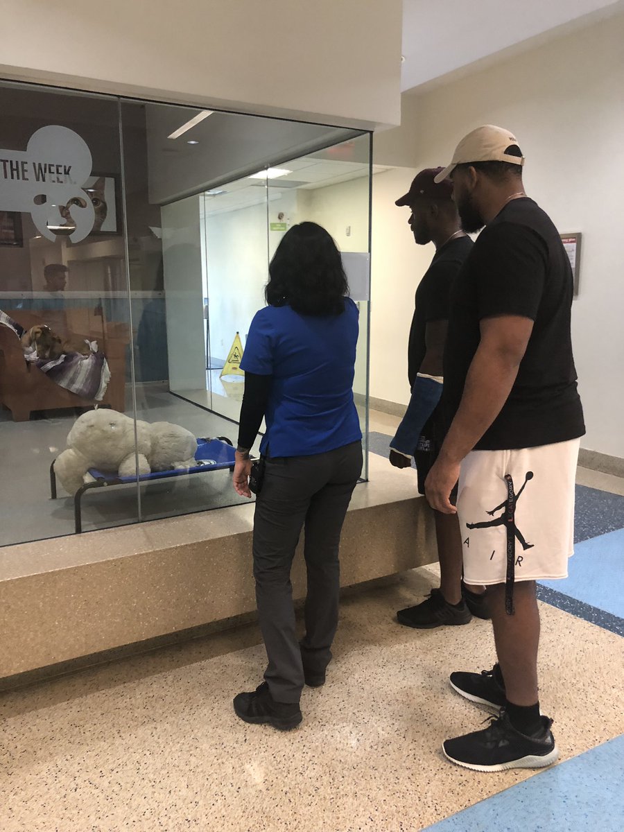 JennaGreen's tweet photo. .@chief__20 &amp; @Pat_Bethel93 of @CanesFootball spent the day volunteering at our Miami animal shelter, walking the dogs &amp; bathing them to help them find loving homes. Just another reason to be a Canes Football fan🙌🏼🏈. Thanks guys!! #TheU #GoCanes #AdoptDontShop https://t.co/X4Mebr7j05