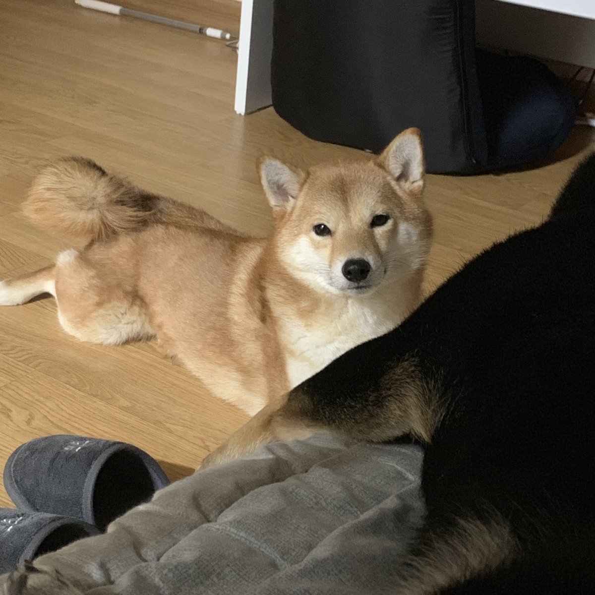 이세상 편안함이아니다