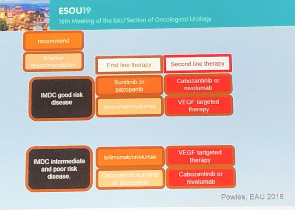 Tom_Marcelissen's tweet photo. Proposed algorithm for systemic treatment of metastatic RCC #ESOU19 https://t.co/Beb0uyKZWs