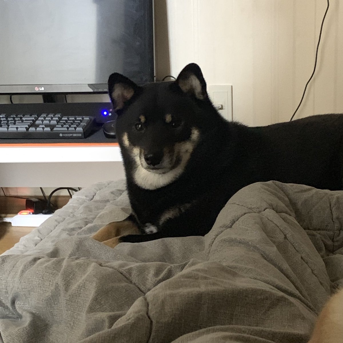 이름을 복어로 바꿔야겠어 진짴ㅋㅋㅋㅋ 목에 살좀 봨ㅋㅋㅋㅋㅋㅋㅋ