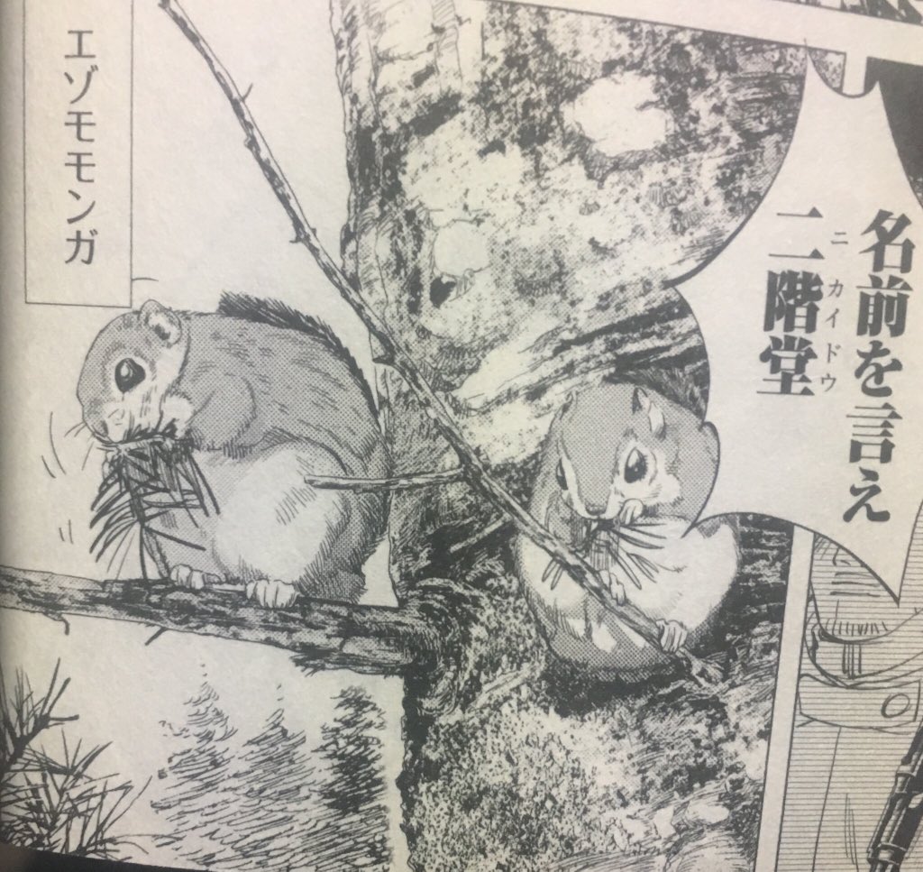 Hiphaistさん 最近のアニメ それでも一年とか半年前 に出てきたモモンガ ハクメイとミコチ7話のモモンガ しゃべります ゴールデンカムイ10話のエゾモモンガ 割と凄惨なシーンの合間でした Hiphaistさん 最近のアニメ それでも一年とか半年前 に出てきたモモンガ ハクメイとミコチ7話のモモンガ しゃべります ゴールデンカムイ10話のエゾモモンガ 割と凄惨なシーンの合間でした
