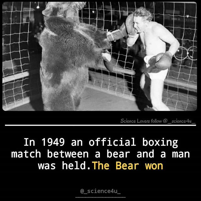 Science4u3's tweet image. 😂
•
•
•
•
•
#science4u #man #bear #bears #boxing #fact #facts #facts💯 #didyouknow