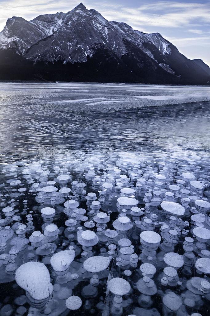 Nature_Travel_'s tweet photo. [OC] Abraham Lake’s Crazy Frozen Bubbles [1078 × 1617] - rileybyington - #travel #photography

https://t.co/L8WZdy4vy6 https://t.co/ctgIlywgHz
