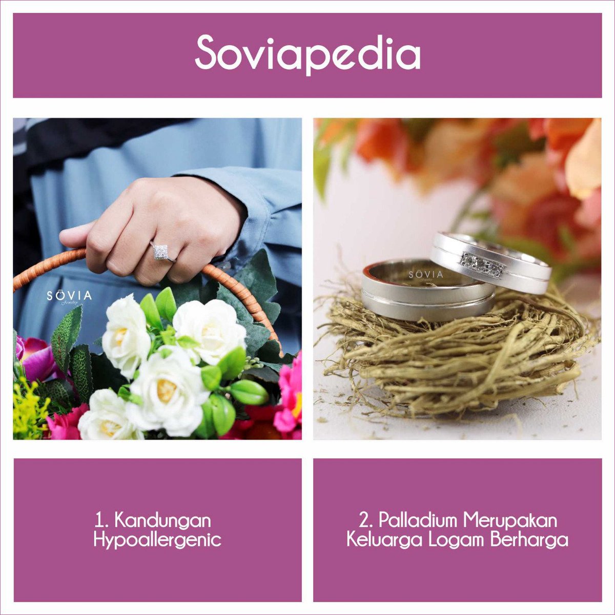 Dewi P Dyah DdeeDewi Twitter