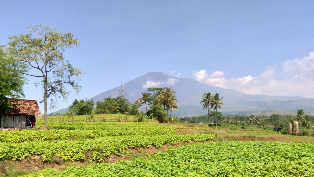 #wisatacirebon #visitcirebon #plesirwisatacirebon #desamatangaji #wisatadesa #desacirebon #matangaji