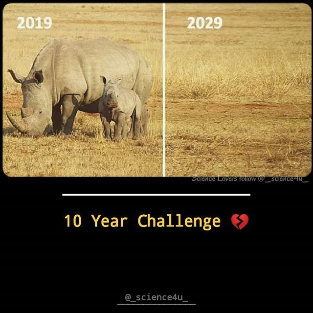 Science4u3's tweet image. Spread awareness 🙏
•
•
•
•
•
•
#science4u
#science #rhino #rhinos #endangeredspecies #awareness #nature #wild #save #animals #stop #porch #like4like  #10yearchallenge