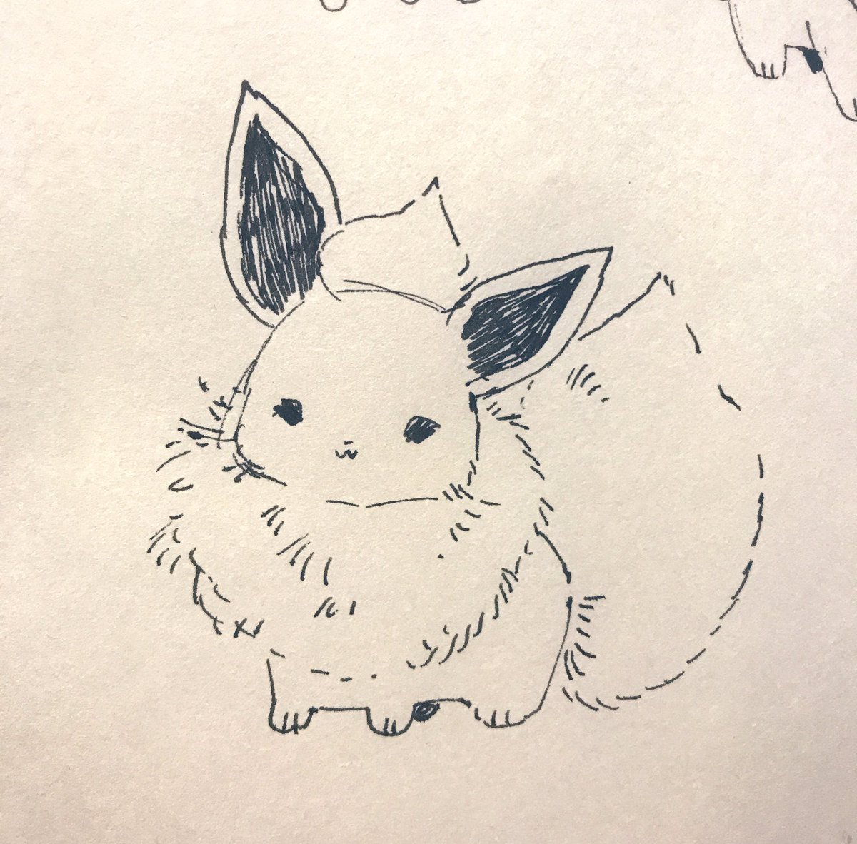 Sunday evening eevees 