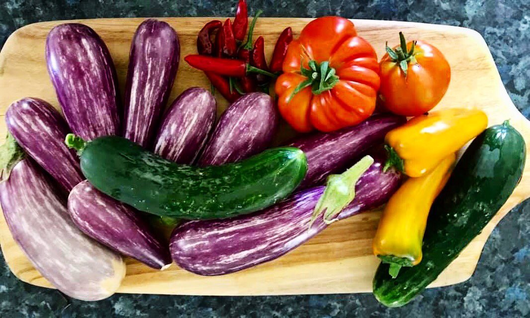 vegepod's tweet photo. Real #food is so colourful 🙌🏻 I harvested all of this from my Vegepods today ❤️ It always makes me so #happy to see what we have grown 😃.
Reposting Sandi Jeffrey, #Brisbane
#Podtoplate #organic #patchtoplate #harvest #cleaneating #sustainability #selfsufficient #growyourown https://t.co/4jS76aGeAo