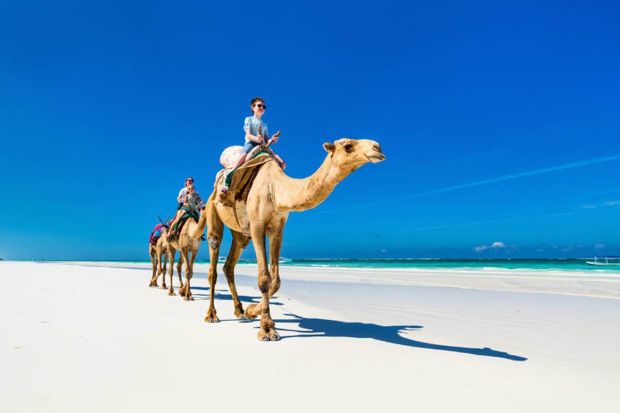 JamboMagazine's tweet photo. A slice of paradise. Voted as the best beach in Africa, Diani Beach is one of the most beautiful and eye-catching beaches in the world. One more reason why it'll the destination of choice in 2019! #MagicalKenya
Image: Travel Lemming https://t.co/lgbIKdh3wR