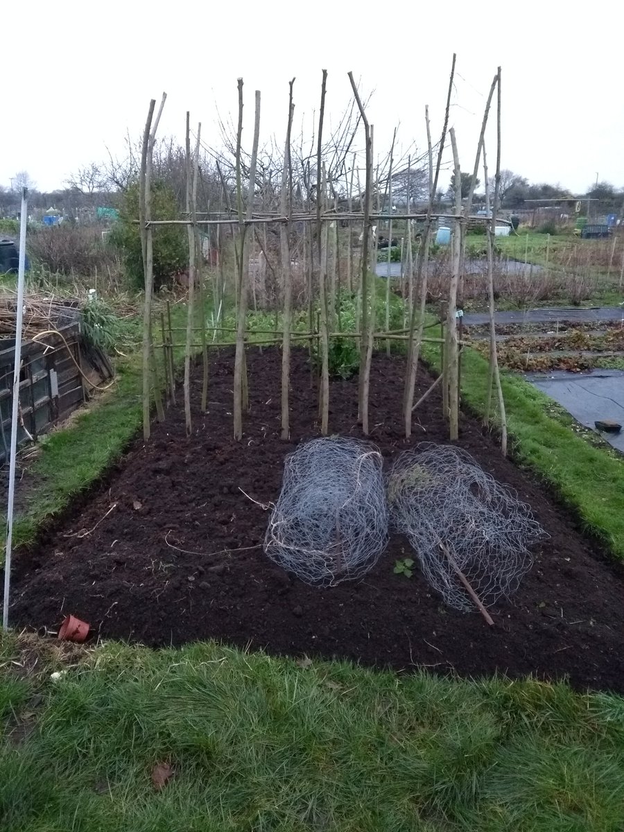 2 hrs dig just finished at Allotment in Sway 😀 Basically digging in my green manure of weeds 😀 Karen you need to start growing the seeds !!