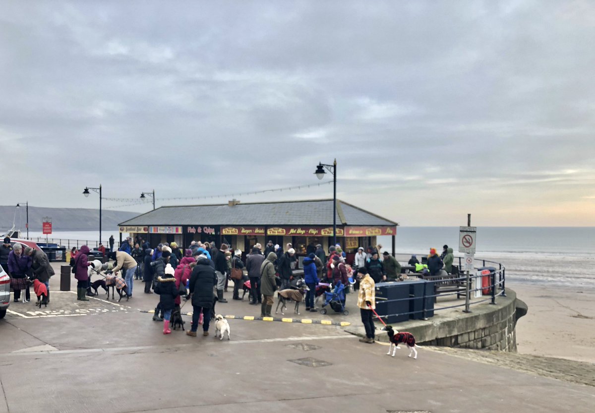 GGGW2017's tweet photo. 54 Sighthounds on the beach at Filey today with @sighthoundSC enjoying the beautiful Yorkshire coastline 

And it wasn’t too cold - all the hounds loved it and fish and chips afterwards 🐾❤️ https://t.co/z7XefT7jvL