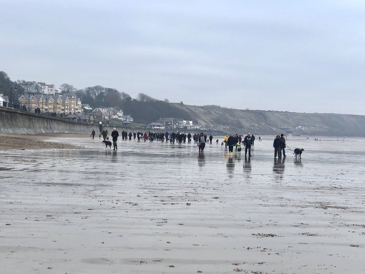 GGGW2017's tweet photo. 54 Sighthounds on the beach at Filey today with @sighthoundSC enjoying the beautiful Yorkshire coastline 

And it wasn’t too cold - all the hounds loved it and fish and chips afterwards 🐾❤️ https://t.co/z7XefT7jvL