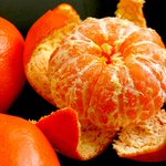 カラダにいい、食後のミカンのすすめ!