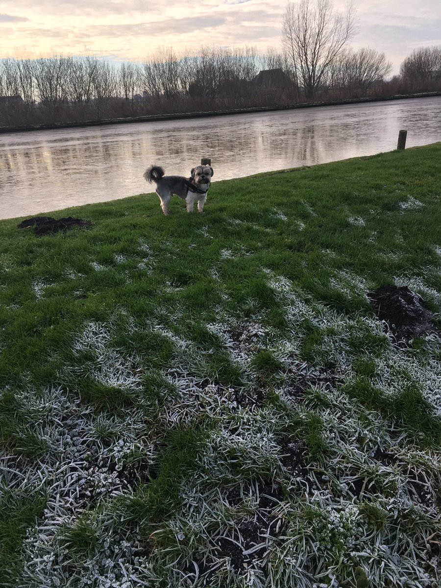 pbslump's tweet photo. Heerlijke wandeling rondje #Tjonger
Prachtig en lekker winterweer
#mooieomgeving https://t.co/UiRtjkr2mq