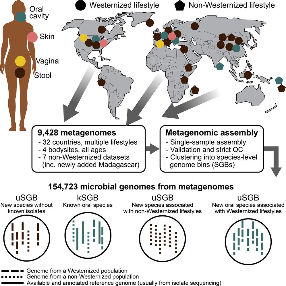 BioITFreelancer's tweet photo. Extensive Unexplored Human  Microbiome Diversity Revealed by Over 150,000 Genomes from Metagenomes  Spanning Age, Geography, and Lifestyle
https://t.co/3pvq0UwV2P https://t.co/4lCXwX9ZSG
