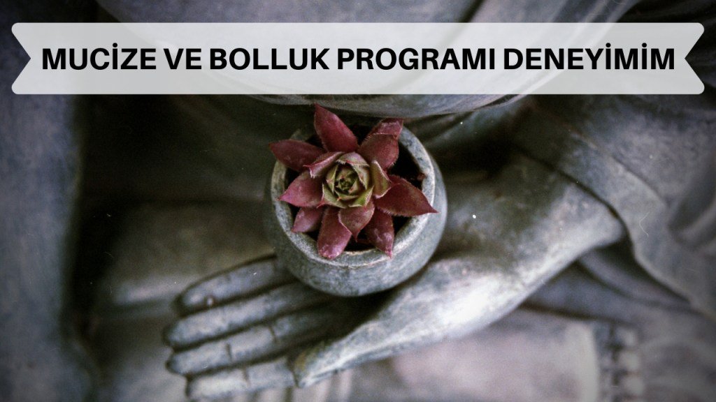 Mucize ve bolluk programı bana neler kattı? bibilenn.com/2019/01/20/muc…