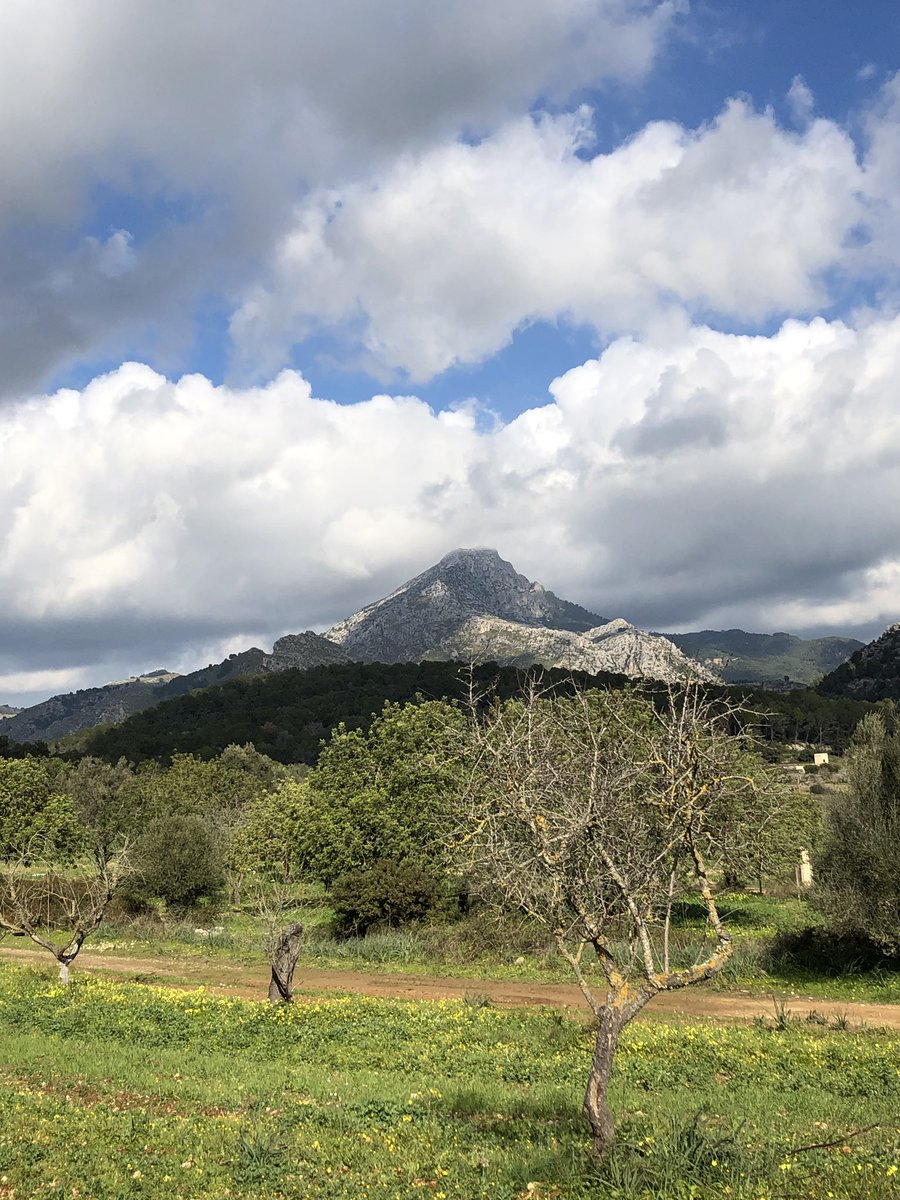 Conxinf's tweet image. Carai ahir tots rondàvem per la finca de Galatzó o Capdellà. Potser voldríem estar aprop del @Comte_Mal