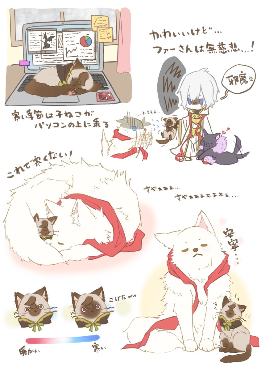 【ルシサン】【獣化注意】
お題: 寒さ
こねこサンちゃん と 白わんわんル様 と 怒ったファーさん と 黑わんわんベリ
 #ルシサン版ワンドロワンライ 