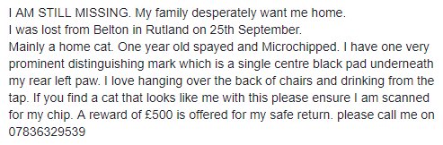 MITZIE HAS BEEN #MISSING FROM BELTON #RUTLAND SINCE 25TH SEP 2018

facebook.com/groups/corbylo…

Please RT <a href="/rutlandospreys/">Rutland Ospreys</a> <a href="/RutlandWillows/">Rutland Willows</a> <a href="/UppinghamTC/">UppinghamTownCouncil</a> @oakhaminbloom <a href="/OakhamPolice/">OakhamPolice</a> <a href="/rutlandvets/">rutlandvets</a> <a href="/CatsMissing/">MissingCatsUK</a> <a href="/MissingPetsGB/">Missing Pets GB</a> <a href="/HunnyJax/">#BePETTHEFTaware</a> <a href="/HelpFindThem14/">HelpFindThem</a> <a href="/Lorrain90964806/">Lost pets missing and stolen</a> <a href="/SAMPAuk_/">Stolen&Missing Pets</a>