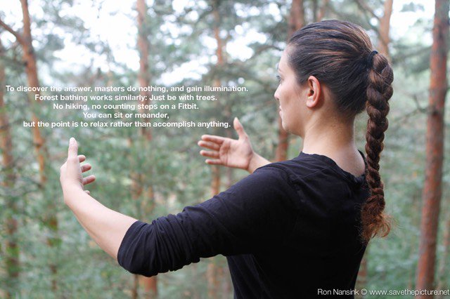 TheFeel_org's tweet photo. Taiki Kanso or Taikiken Natural Tuning, is a contemporary form of  allowing nature to do its job. Ki, kiko, to achieve equilibrium within so; it brings about harmony and serenity - a state of enlightenment. #Taikiken #harmony #nature  https://t.co/ITTdYqIMex https://t.co/lMprQpLhzt