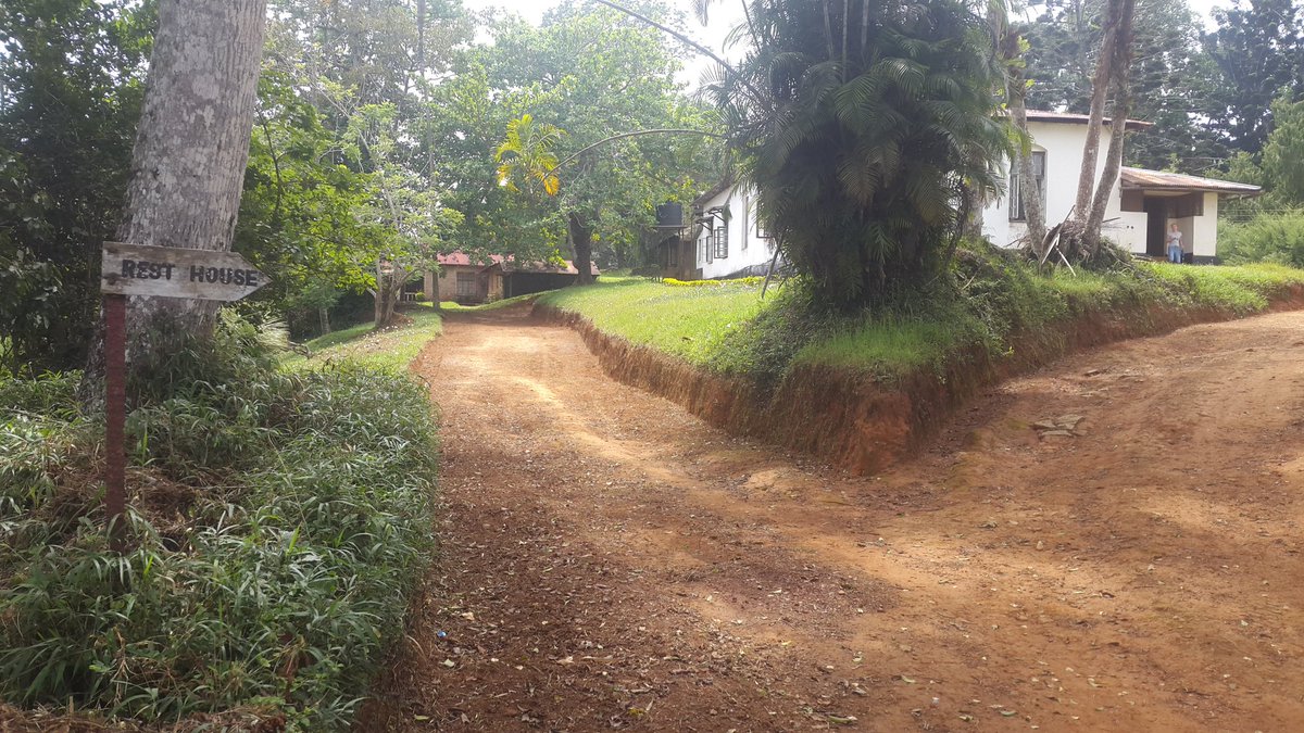 NIMR_AMANI's tweet photo. Lunch time at the Historical German Era  Amani hill Resthouse. The 1st Amani Seminar Amani on the Anthropology of African science and Technology @NIMRHQS @NIMRTanga @mangesho @terrie_nkya @HotelNgekil @DocFaustine @JoeMugasa @ITN_ANTHUSIA #AnthroTox @UiO_LifeSci https://t.co/S9qYFP46lo